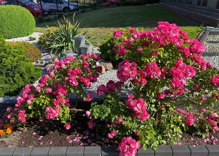 Mrokon * Grzybowo (West Pomeranian)